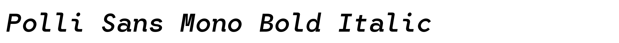 Polli Sans Mono Bold Italic image